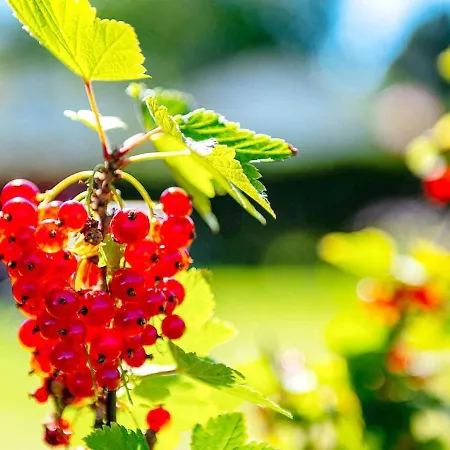 Casa vacanze 6 Person In Sandefjord-by Traum *